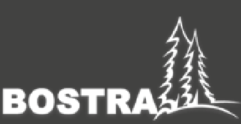 Bostra